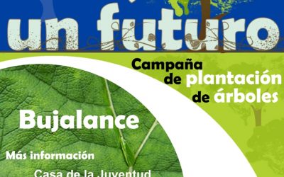 NUEVA CAMPAÑA DE PLANTACIÓN DE ÁRBOLES » UN ÁRBOL, UN NIÑO, UN FUTURO»