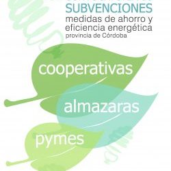 Subvenciones para el desarrollo de proyectos de ahorro y eficiencia energética en la provincia de Córdoba – 2017
