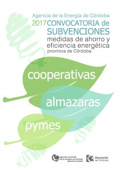Subvenciones para el desarrollo de proyectos de ahorro y eficiencia energética en la provincia de Córdoba - 2017 1